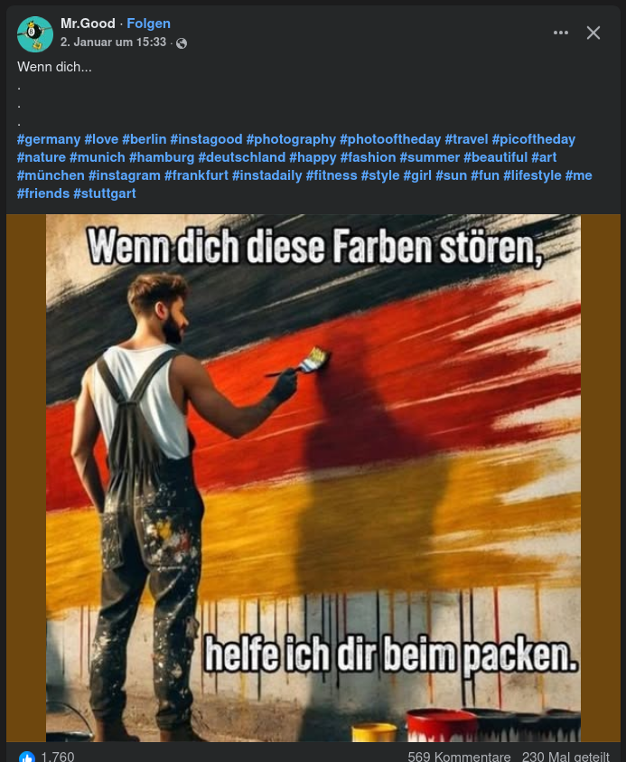 Beitrag einer Seite namens "Mr.Good". Ein Mann malt die deutsche Flagge an eine Wand. Text im Bild "Wenn dich diese Farben stören, helfe ich dir beim packen." Der Beitrag hat 569 Kommentare, 1760 Likes und wurde 230 mal geteilt.